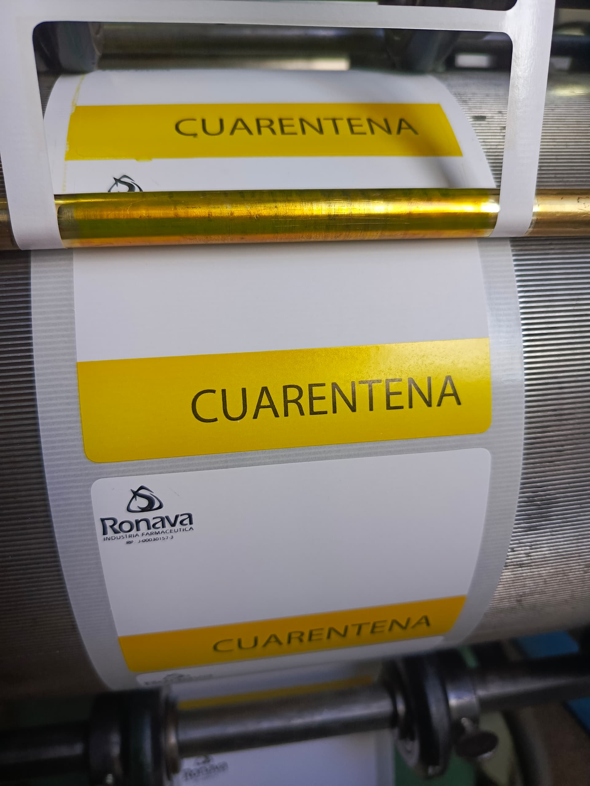 Muestra 6